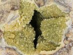 Yellow Crystal Filled Septarian Geode ( lbs) - Utah #98394-2